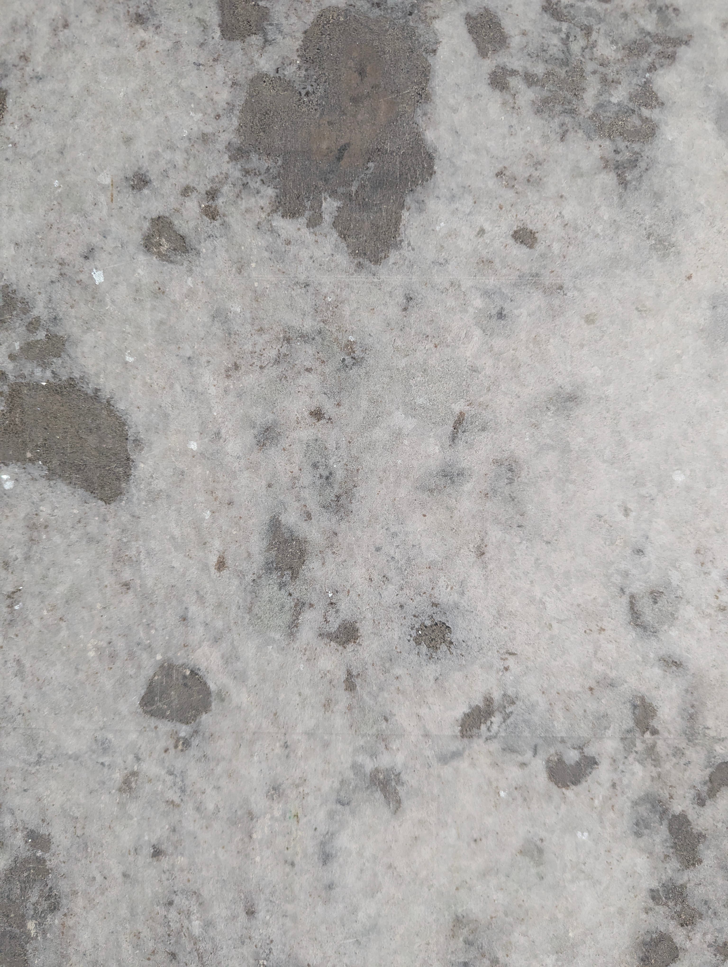 Spotted Marble slab sample